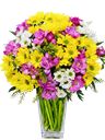 Bouquet di fiori margherite colori misti