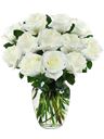 Bouquet di 12 rose bianche