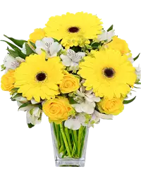 Bouquet di