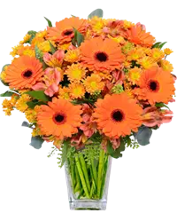 Bouquet di gerbere arancio