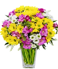 Bouquet di fiori margherite colori misti