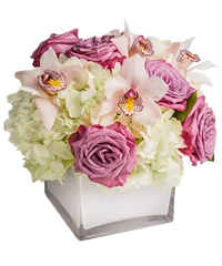 Composizione con rose rosa