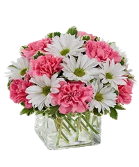 Composizione toni bianco e rosa