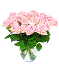 Bouquet di