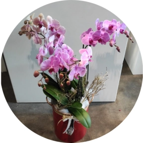 Vaso latta  con orchidee